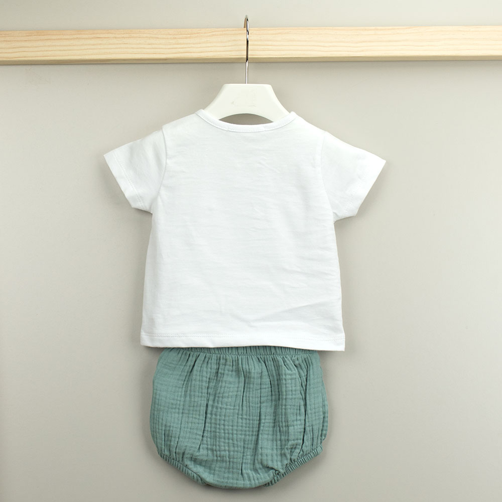 42533 (2) modificado