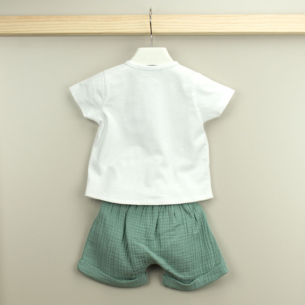 43533BACK modificado